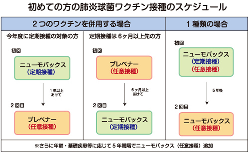肺炎球菌のワクチンスケジュール
